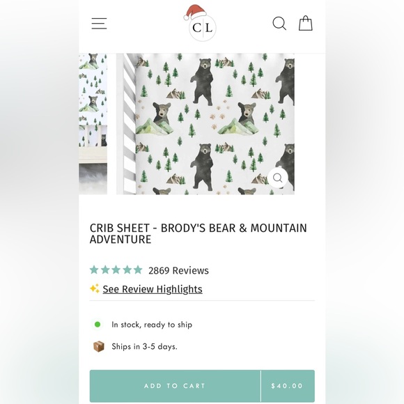 Caden Lane swaddle & Burts Bees burp cloths - Picture 2 of 4